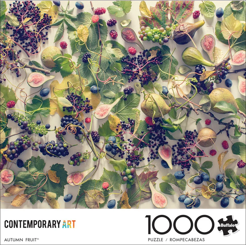 DMG Contemporary Collection: Autumn Fruit (DAMAGED BOX)
