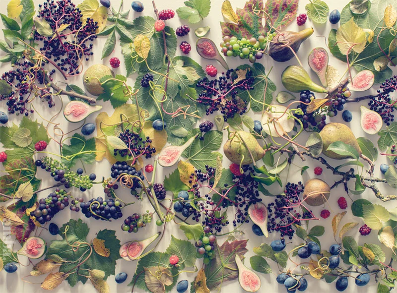 DMG Contemporary Collection: Autumn Fruit (DAMAGED BOX)