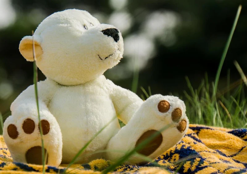 17752 Tierwelt - Teddy im Urlaub Puzzle