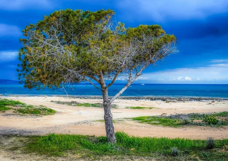 25074 Natur - Landschaft Puzzle