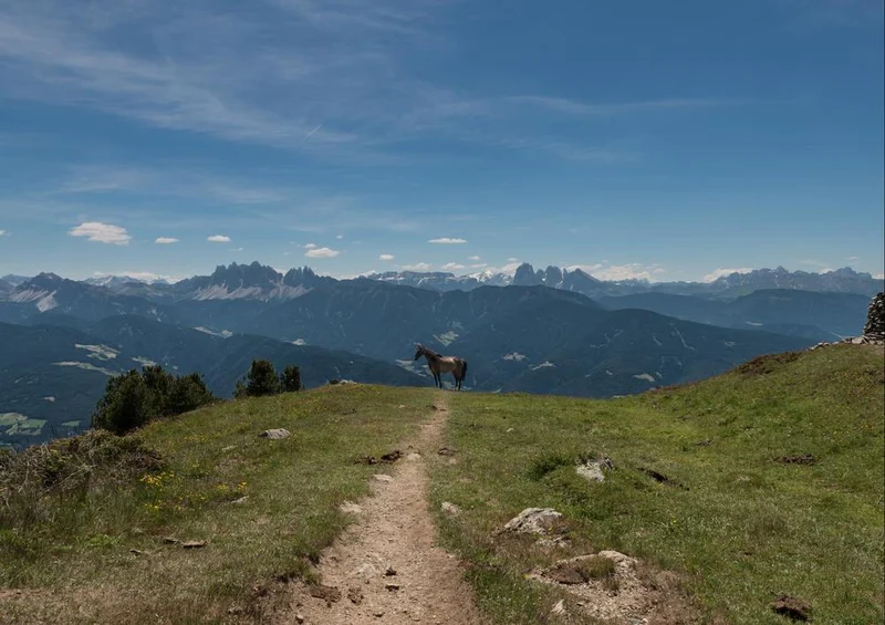 17755 Natur - Panorama Puzzle