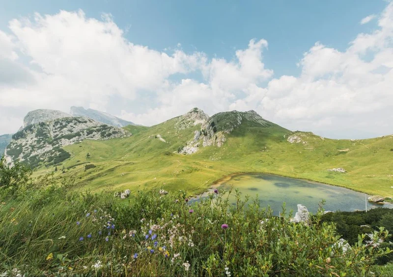 17757 Natur - Panorama Puzzle