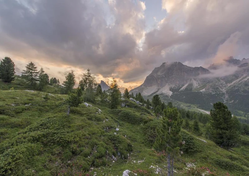 17758 Natur - Panorama Puzzle