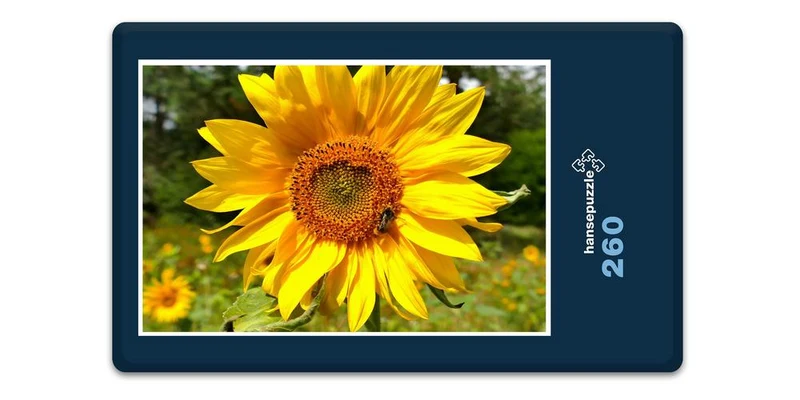 17870 Natur - Sonnenblume Puzzle