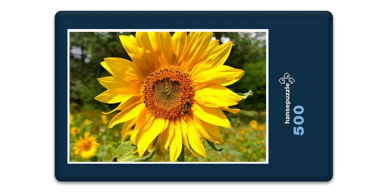 17870 Natur - Sonnenblume Puzzle