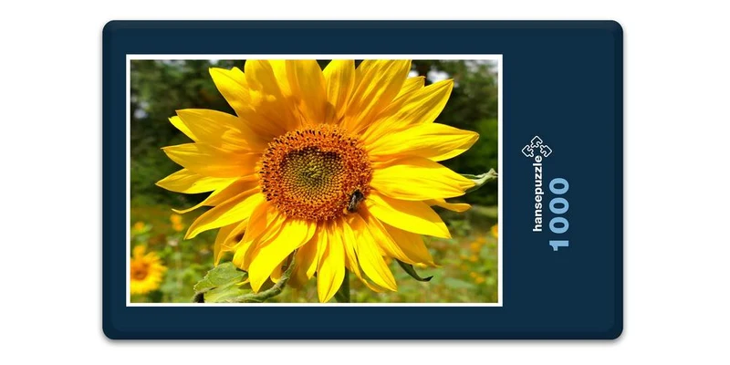 17870 Natur - Sonnenblume Puzzle
