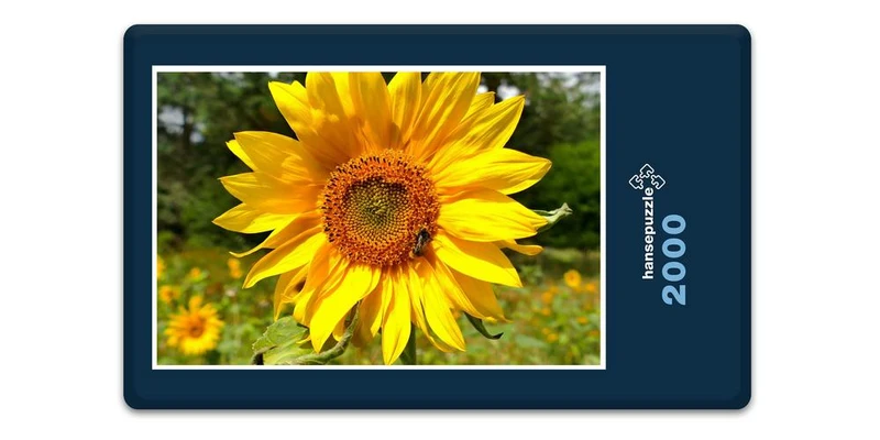 17870 Natur - Sonnenblume Puzzle