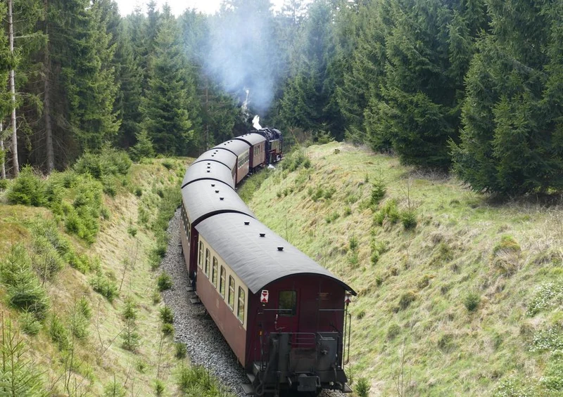 17674 Natur - Brocken-Bahn Puzzle