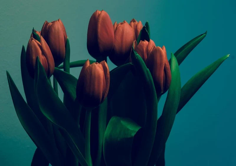 23358 Natur - Tulpen Puzzle