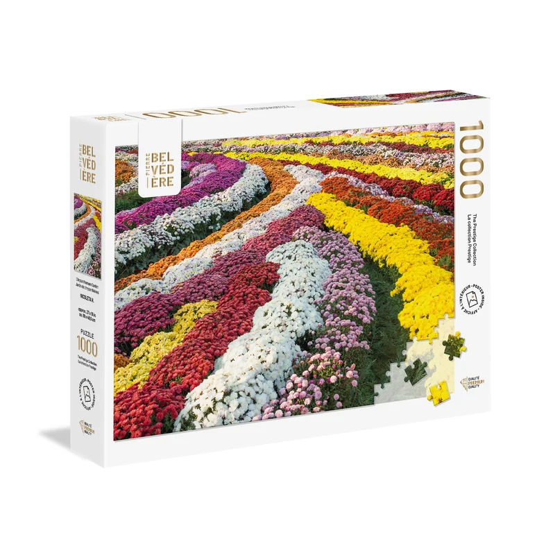 Chrysanthemum Garden (1000pcs)