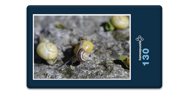 17829 Tierwelt - Platz an der Sonne Puzzle