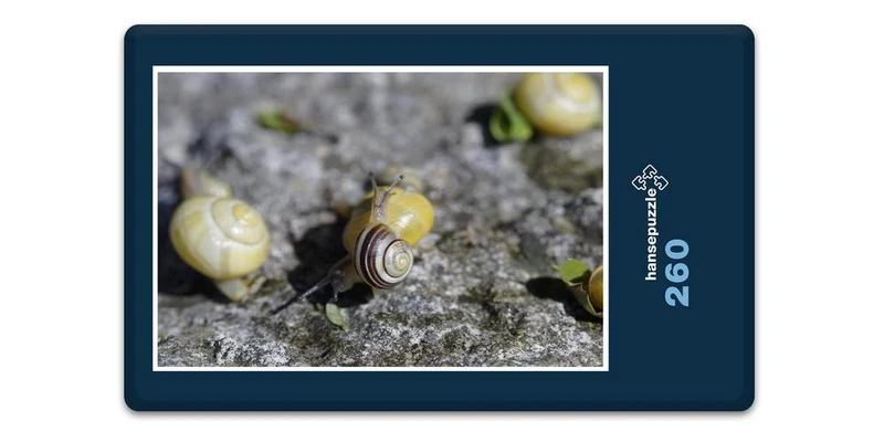 17829 Tierwelt - Platz an der Sonne Puzzle