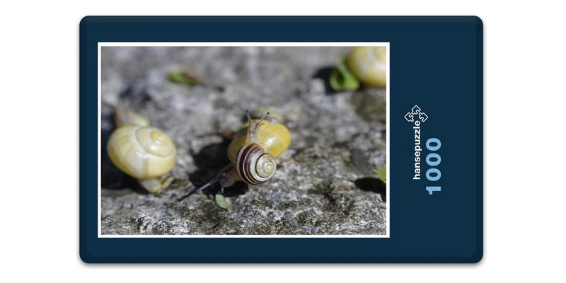 17829 Tierwelt - Platz an der Sonne Puzzle