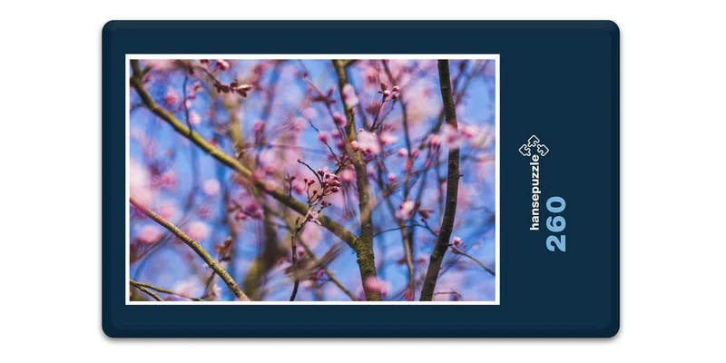 17871 Natur - Kirsch-Blüte Puzzle