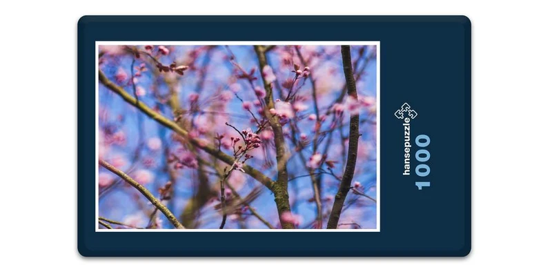 17871 Natur - Kirsch-Blüte Puzzle
