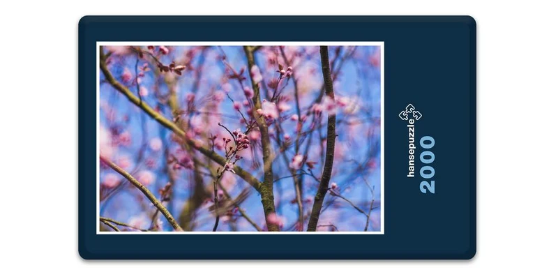17871 Natur - Kirsch-Blüte Puzzle