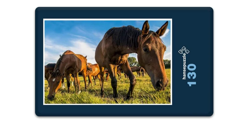 17874 Natur - Pferde Puzzle