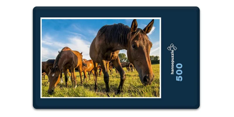 17874 Natur - Pferde Puzzle