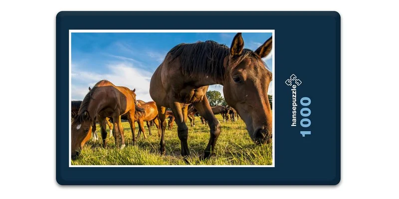 17874 Natur - Pferde Puzzle