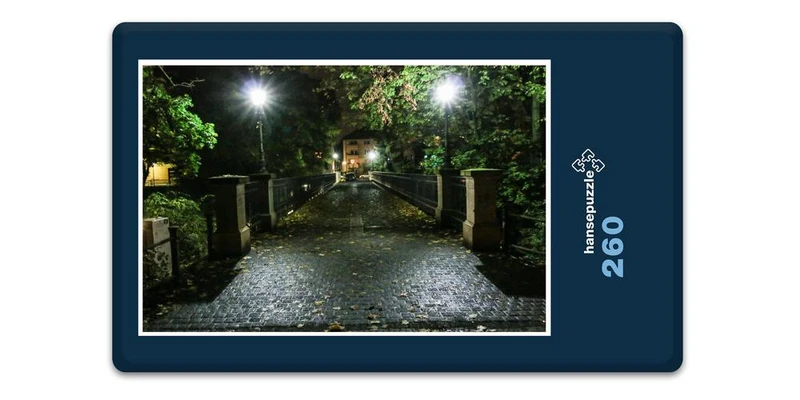 17878 Gebäude - Nacht-Brücke Puzzle
