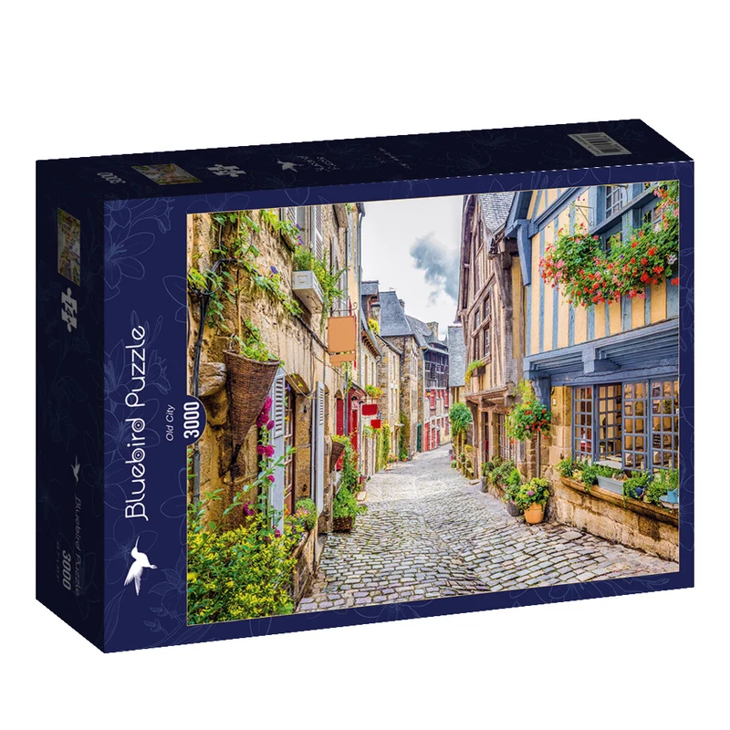 Old City (3000pcs)