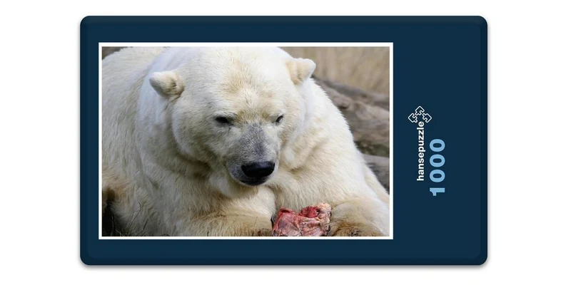 17955 Tierwelt - Eisbär Puzzle