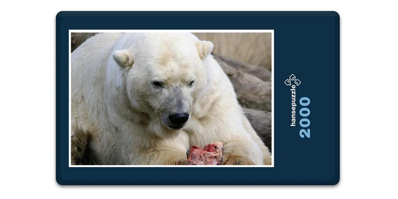 17955 Tierwelt - Eisbär Puzzle