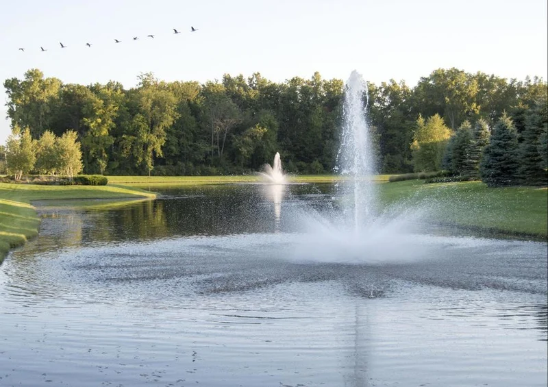 17834 Natur - Springbrunnen in Park Puzzle