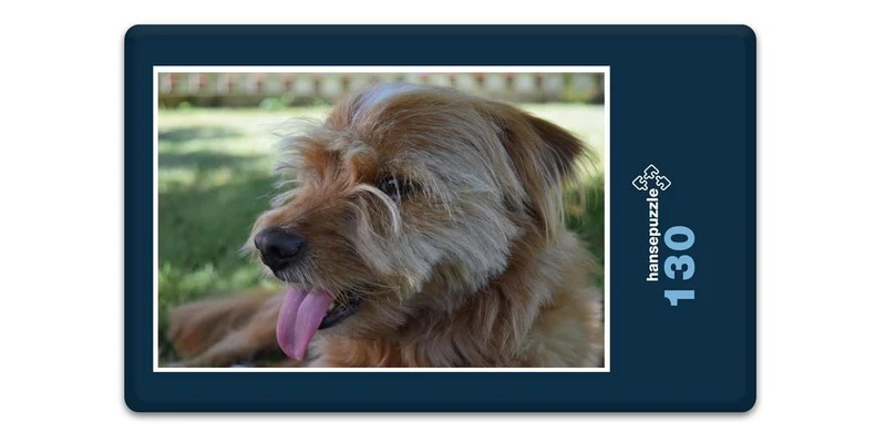 17837 Tierwelt - Hund Puzzle