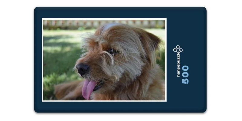 17837 Tierwelt - Hund Puzzle