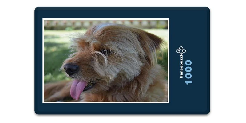 17837 Tierwelt - Hund Puzzle