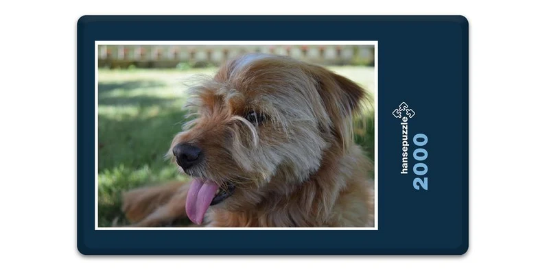 17837 Tierwelt - Hund Puzzle