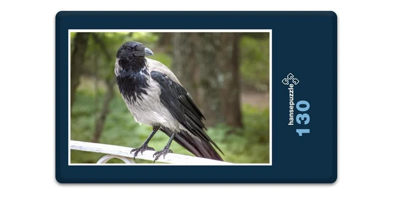 17839 Tierwelt - Vogel auf Geländer Puzzle