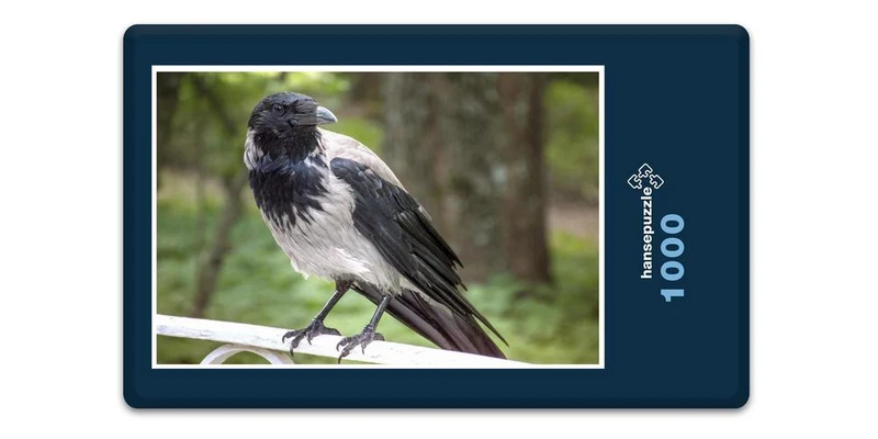 17839 Tierwelt - Vogel auf Geländer Puzzle