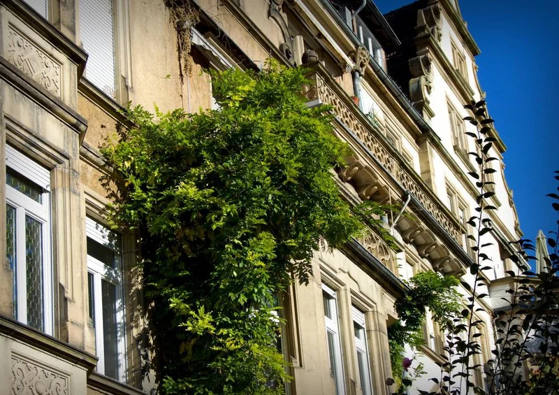 17884 Gebäude - Altbau-Fassade Puzzle