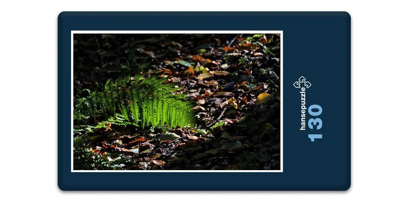 17885 Natur - Wald-Boden Puzzle