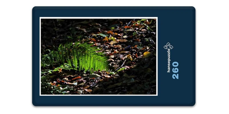 17885 Natur - Wald-Boden Puzzle
