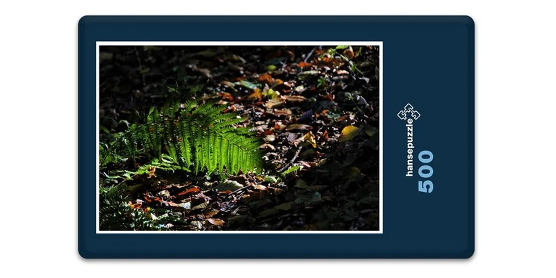 17885 Natur - Wald-Boden Puzzle