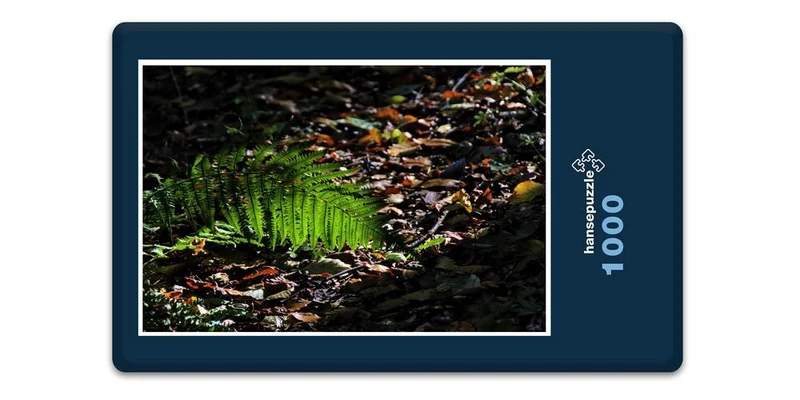 17885 Natur - Wald-Boden Puzzle