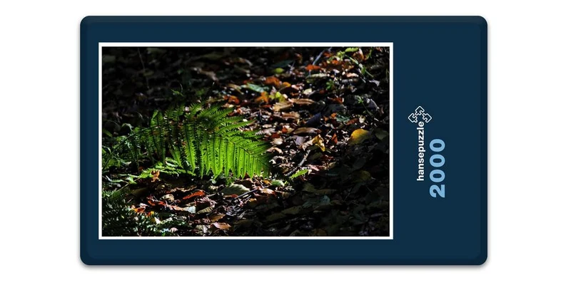 17885 Natur - Wald-Boden Puzzle