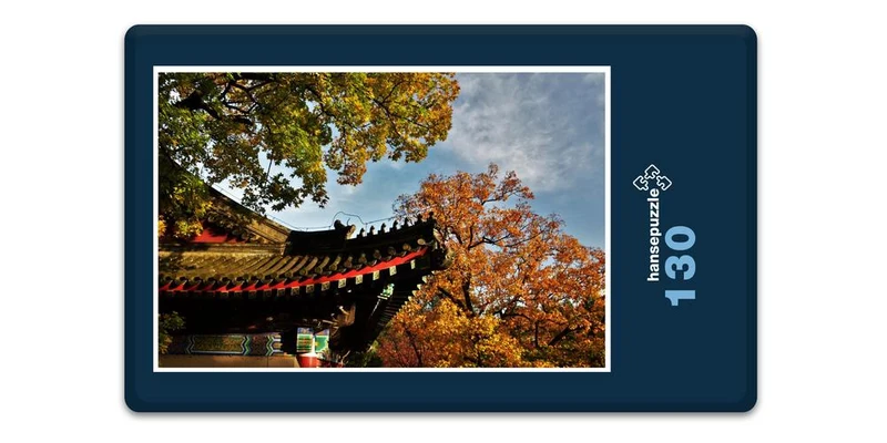 17886 Gebäude - Japanischer-Garten Puzzle