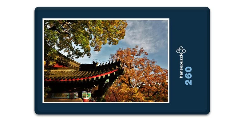 17886 Gebäude - Japanischer-Garten Puzzle