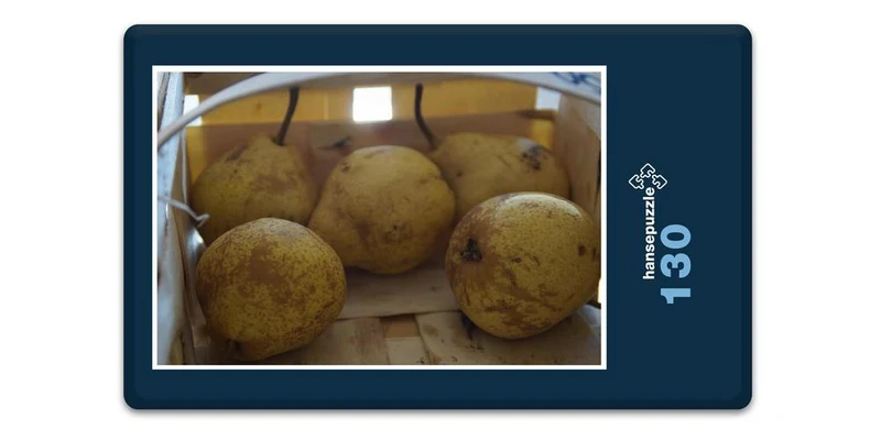 17887 Ernährung - Obst-Birnen Puzzle
