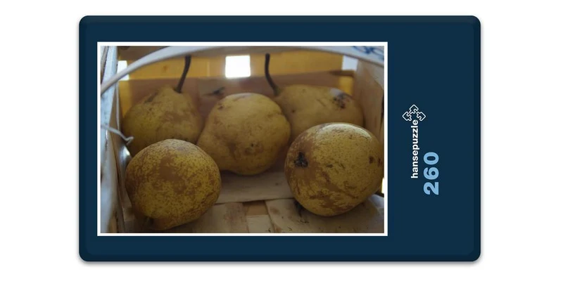17887 Ernährung - Obst-Birnen Puzzle