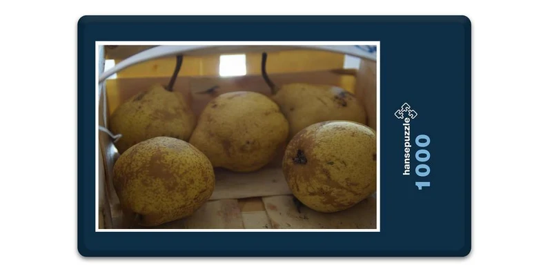 17887 Ernährung - Obst-Birnen Puzzle