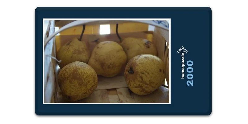 17887 Ernährung - Obst-Birnen Puzzle