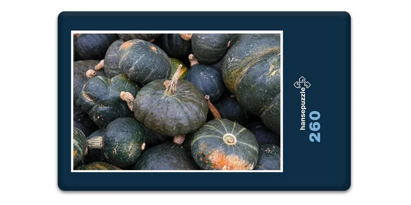 17888 Ernährung - Kürbis Puzzle