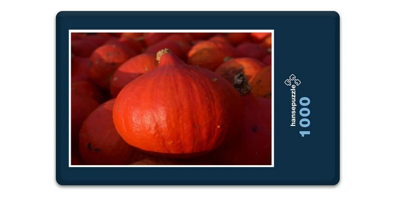 17889 Ernährung - Kürbis Puzzle