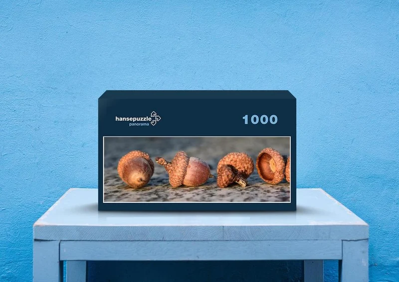 43528 Natur - Nüsse Puzzle