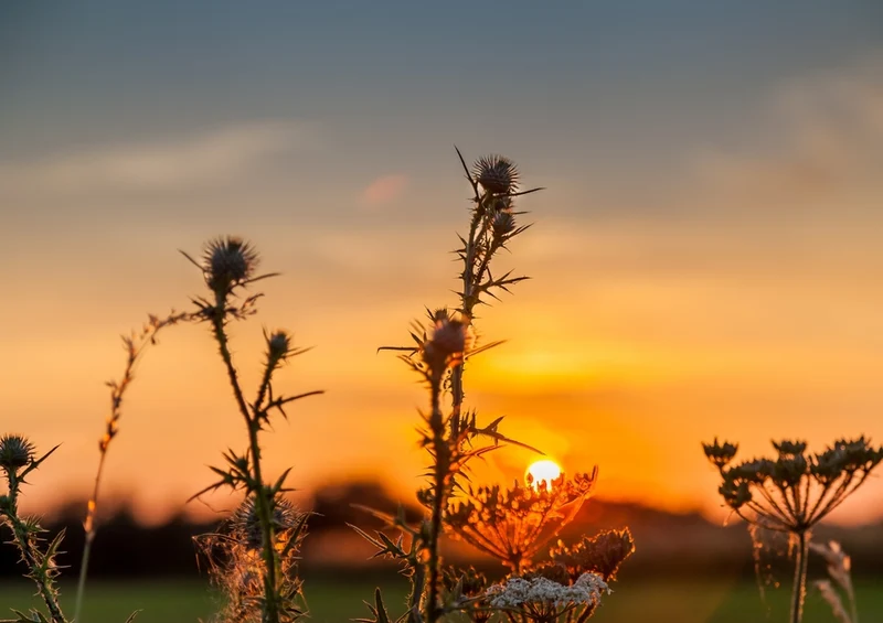43472 Natur - Sonnenuntergang Puzzle